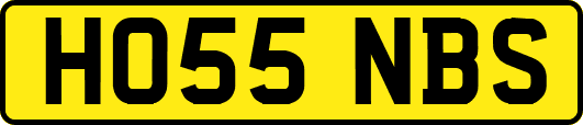 HO55NBS