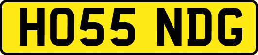 HO55NDG