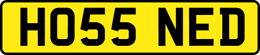 HO55NED