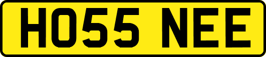 HO55NEE