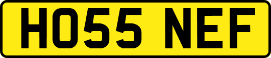 HO55NEF