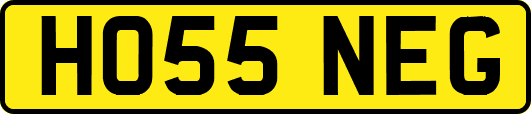 HO55NEG
