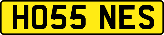 HO55NES