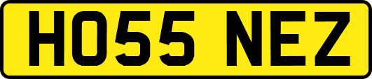 HO55NEZ