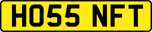 HO55NFT