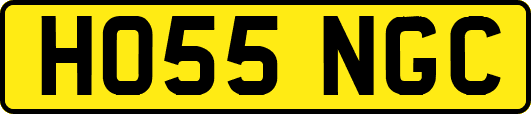 HO55NGC