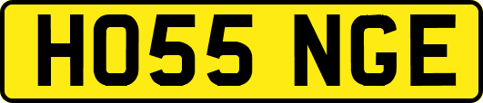 HO55NGE