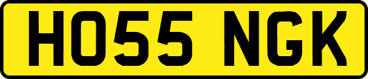 HO55NGK