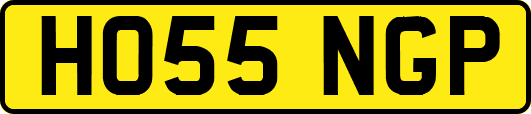 HO55NGP
