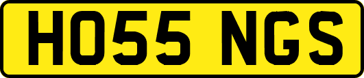 HO55NGS