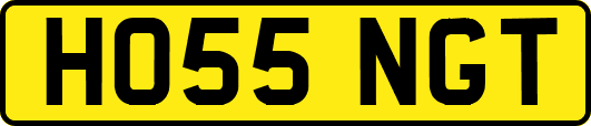 HO55NGT