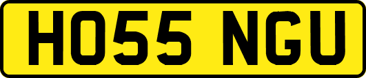 HO55NGU