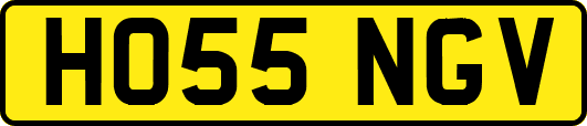 HO55NGV