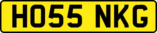 HO55NKG
