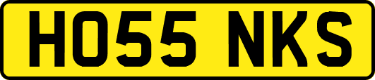 HO55NKS