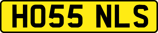 HO55NLS