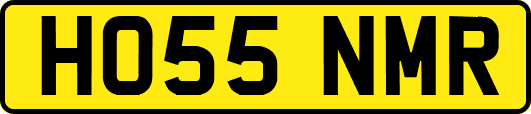 HO55NMR
