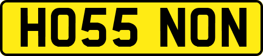 HO55NON