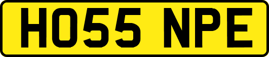HO55NPE