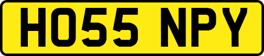 HO55NPY