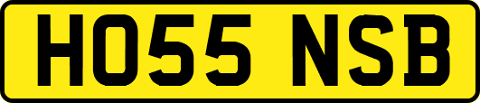 HO55NSB