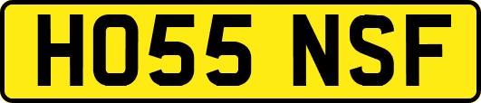 HO55NSF