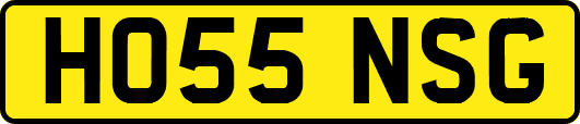 HO55NSG