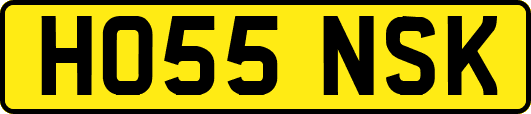 HO55NSK