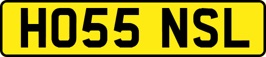 HO55NSL