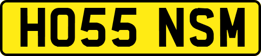 HO55NSM