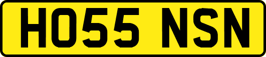 HO55NSN