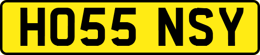 HO55NSY