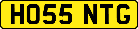 HO55NTG