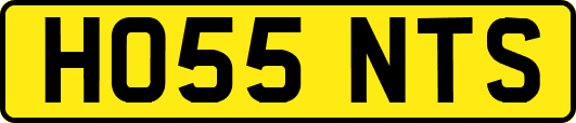 HO55NTS