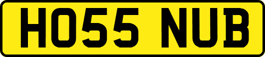 HO55NUB