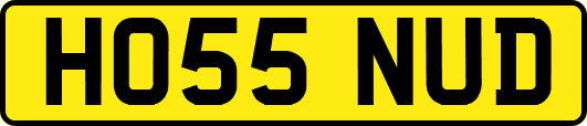 HO55NUD
