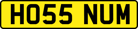 HO55NUM