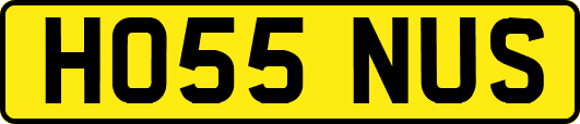 HO55NUS