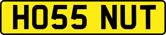 HO55NUT