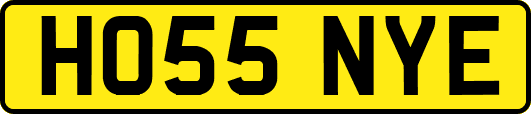 HO55NYE