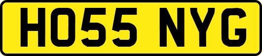 HO55NYG