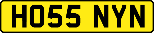 HO55NYN