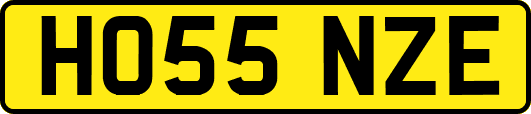 HO55NZE