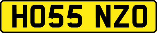 HO55NZO