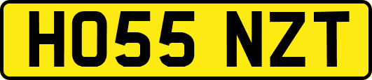 HO55NZT