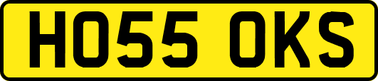 HO55OKS