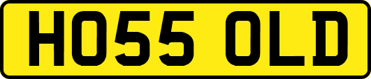 HO55OLD