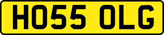 HO55OLG