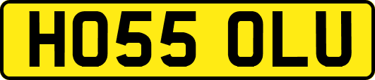 HO55OLU