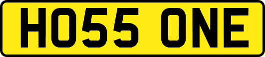 HO55ONE